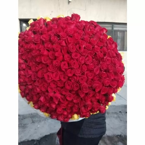 Buchon bouquet (300 roses)